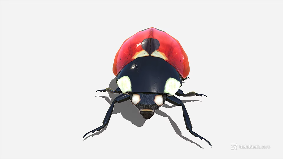 Detailed Vibrant Red and Black Ladybug with Sheath Wings and Black Body 3d model 