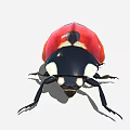 Detailed Vibrant Red and Black Ladybug with Sheath Wings and Black Body