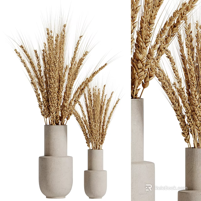 Minimalist Concrete Vases With Decorative Wheat Ears Arrangement In Different Heights 3d model 
