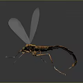 Bright Orange Bodied Dragonfly With Transparent White Wings Against Dark Background