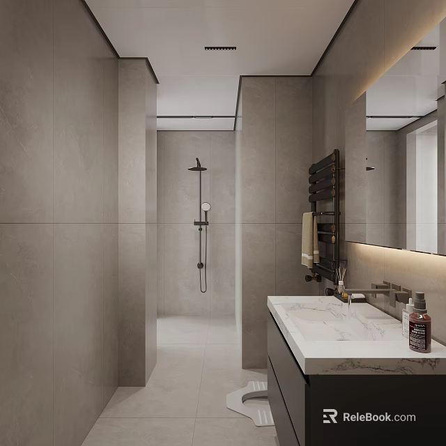 Modern Bathroom Interior Design With Gray Tiles Shower Area And Marble Vanity Mirror 3d model 
