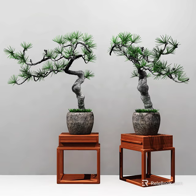Bonsai Pine Trees With Curved Trunks Green Foliage In Gray Pots On Red Wooden Stands 3d model 