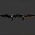 Two Eagles Spreading Wings With White Heads And Yellow Wing Edges Against Black Background