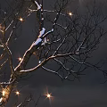 Snow Covered Arbor Tree With Twinkling Lights On Dark Sky Backdrop 3d model