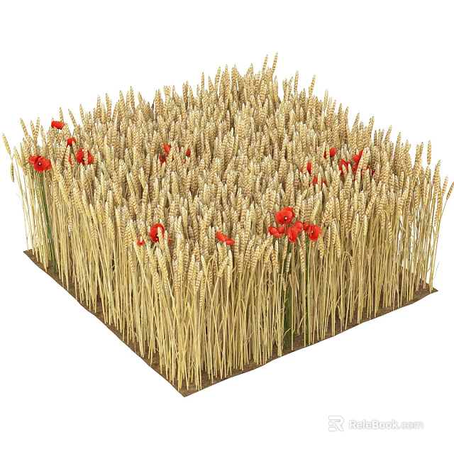 Beautiful Natural Arrangement of Golden Wheat Ears with Red Poppy Flowers in Square Decorative 3d model 