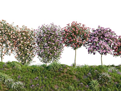 Modern Plants Potted Plants Green Plants Flowers Trees Plants Wall Plants Wall Roses 3d model