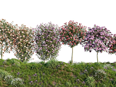 Colorful Flowering Trees With Various Blooms On Green Grassland And Low Plants 3d model