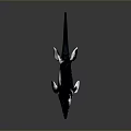 Whale 3D Model with Blue and White Coloration Fins and Tail on Dark Background
