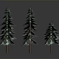 Three Evergreen Arbor Trees With Green Canopies And Brown Trunks On Gray Background