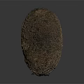 Brown Spiky Reptile With Rough Textured Skin On Dark Reflective Surface