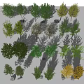 Landscape Trees Street Trees Courtyard Landscape Trees Arbor 3d model