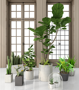 modern potted plant green plant potted plant 3d model