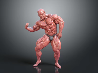 Muscular Man Posing to Flex Well Defined Strong Fit Body Muscles 3d model