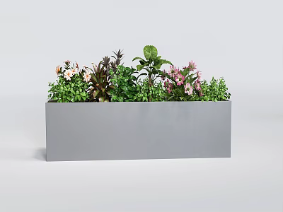 Decorative Plant Combination in Rectangular Gray Planter with Green Foliage Pink and White Flowers 3d model