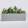 Decorative Plant Combination in Rectangular Gray Planter with Green Foliage Pink and White Flowers