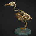 Detailed Bird Skeleton With Long Beak Displayed On Blue Stand Base 3d model