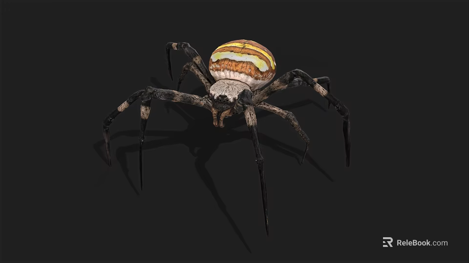 Yellow White and Brown Striped Spider With Long Legs On Dark Background 3d model 