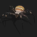 Yellow White and Brown Striped Spider With Long Legs On Dark Background