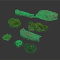 Natural Rock Collection With Various Shapes Moss Covered Gray And Black Stones