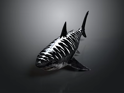 Detailed Realistic Shark With White Stripes On Dark Background 3D Render 3d model