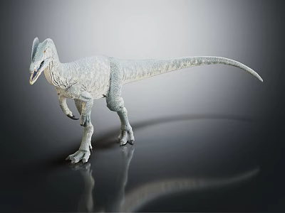 Detailed White Dinosaur Model Standing On Gray Background With Reflection 3d model