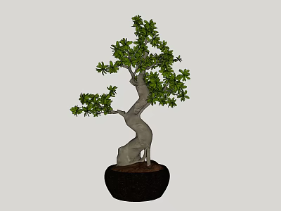 Bonsai Plant With Curved Trunk Green Leaves In Black Pot For Indoor Decor 3d model