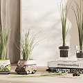 Decorative Bonsai Grass Plants In Colorful Pots On Wooden Table With Books