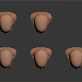 Male Bald Head Models With Different Angles And Expressions On White Surface
