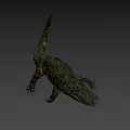 Realistic Crocodile 3D Model With Detailed Scales And Open Mouth