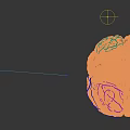 Human Brain 3D Model With Colorful Anatomical Regions And Vascular Textures