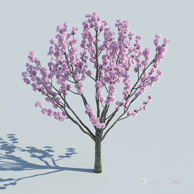 Vibrant Blooming Tree With Abundant Pink Blossoms And Elegant Extended Branches 3d model 