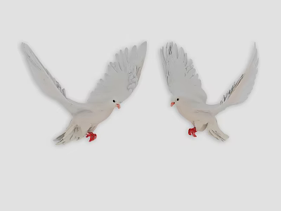 Two White Flying Pigeons With Spreading Wings And Red Feet On Gray Background 3d model