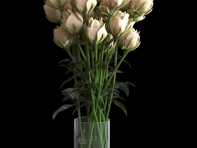 Transparent Glass Vase With Light Pink Roses And Green Stems On Black Background 3d model