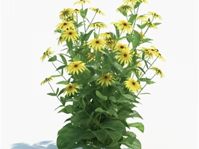 Beautiful Yellow Daisies With Lush Green Leaves In Vibrant Blooming Flower Bush 3d model