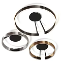 Modern Circular Ceiling Lights With Sleek Metallic Ring Design And Black Center 3d model