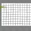 White Base Square Rug With Black Grid Pattern And Green Plant On Floor