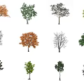 The Modern Tree 3d model