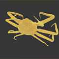Orange Aquatic Crab With Long Legs And Claws On Dark Background