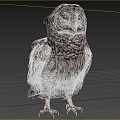 Modern Cross-spotted Forest Owl Animal Biological Birds 3d model