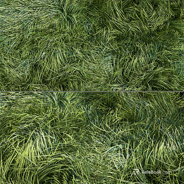 Lush Green Grass Blades in Dense Natural Outdoor Garden Setting 3d model 