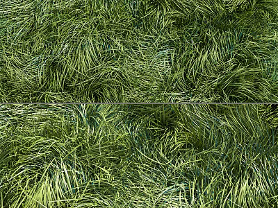 Lush Green Grass Blades in Dense Natural Outdoor Garden Setting 3d model