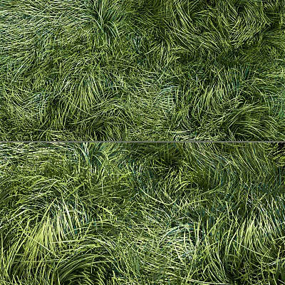 modern grass lawn 3d model