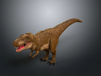 Tyrannosaurus Rex Standing With Open Mouth And Sharp Brown Teeth On Gray Background 3d model