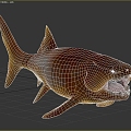 Dunn's fish shell fish 3d model