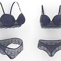 Women's Dark Blue Lace Lingerie Set With Bralette And Panty Design