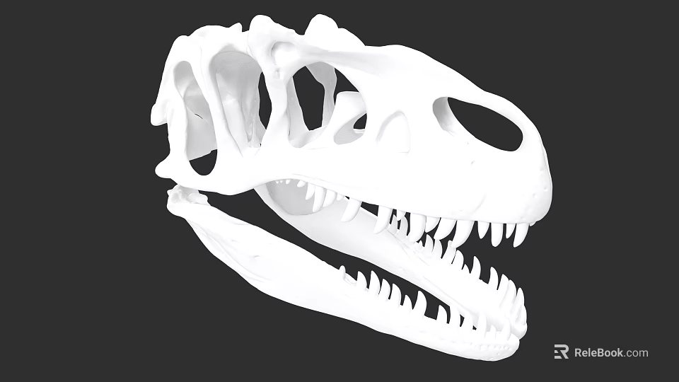 Reptile Dinosaur Skull Skeleton with Sharp Teeth and Bone Structure 3d model 