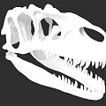 Reptile Dinosaur Skull Skeleton with Sharp Teeth and Bone Structure
