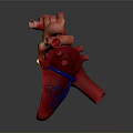 3D Rendered Human Heart Displaying Detailed Anatomical Structures For Medical Education