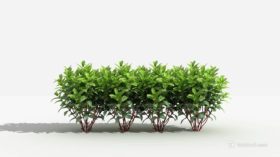 Lush Green Shrubs With Red Stems And Neat Row Foliage Arrangement 3d model 