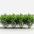 Modern Shrub Gold Vein Jue Bed 3d model